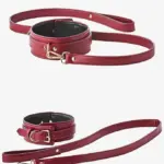 Collar and Leash