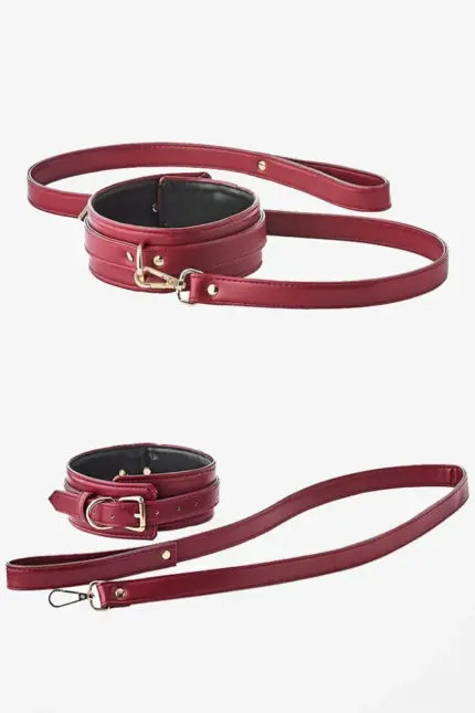 Collar and Leash